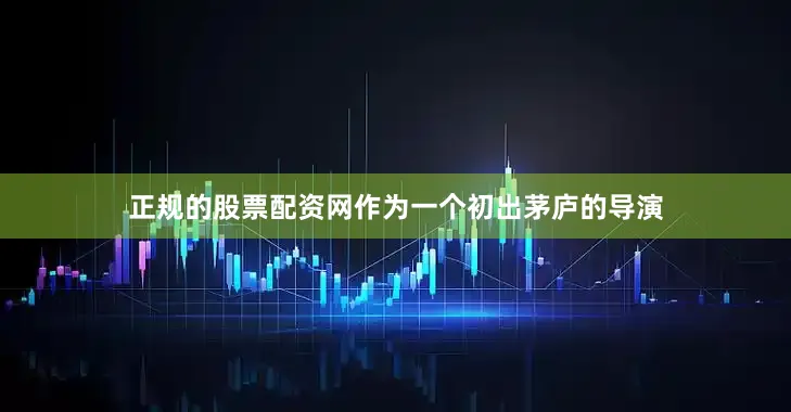 正规的股票配资网作为一个初出茅庐的导演