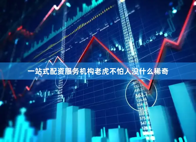 一站式配资服务机构老虎不怕人没什么稀奇