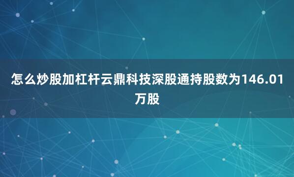 怎么炒股加杠杆云鼎科技深股通持股数为146.01万股