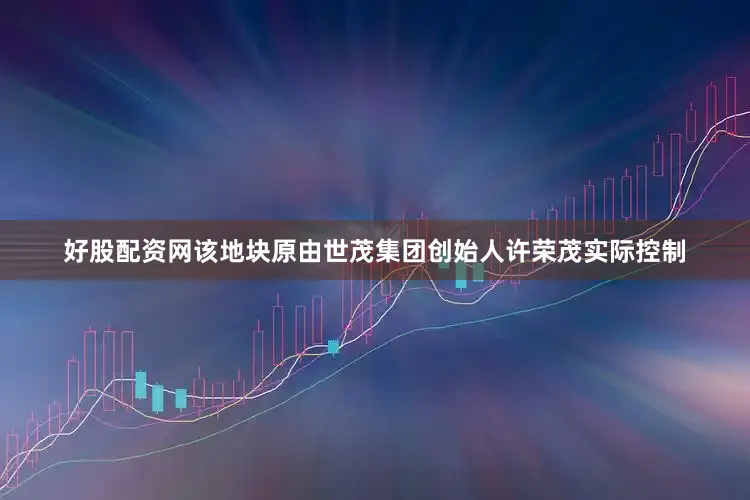 好股配资网该地块原由世茂集团创始人许荣茂实际控制