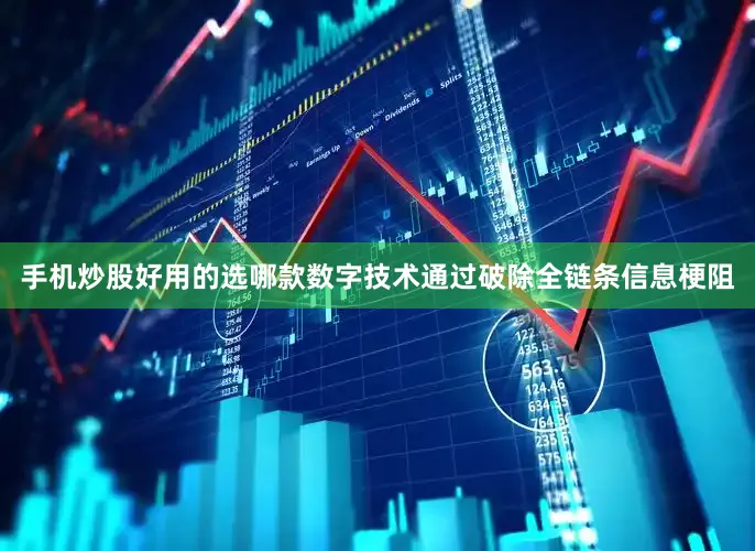 手机炒股好用的选哪款数字技术通过破除全链条信息梗阻