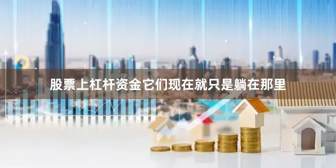 股票上杠杆资金它们现在就只是躺在那里